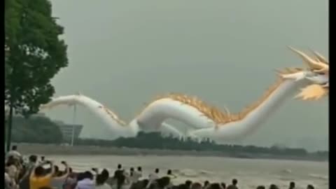 Tik Tok chinese dragon