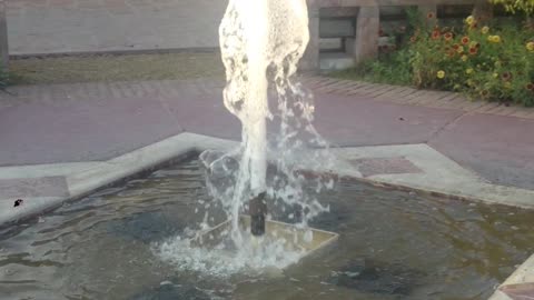 beautiful little fountain