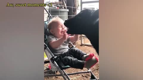 Cute and funny babies playing with animals