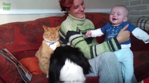 Funny Babies Laughing Hysterically at Cats Compilation