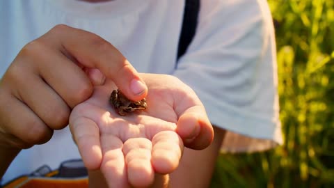 A child holds a small frog in his hand