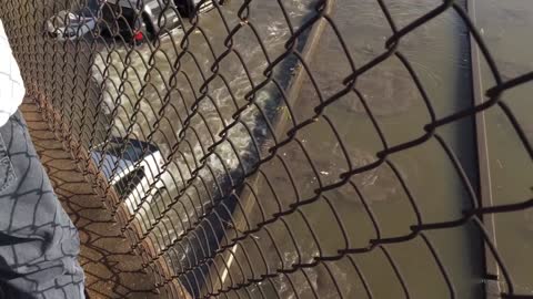 Prius Drives Through Flooded Houston Interstate I-45