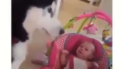 Bunch makes baby stop crying.