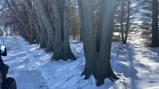 Maple syrup prep part 1