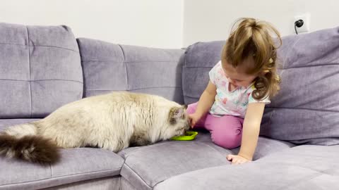 Baby_Girl_Shows_How_to_Properly_Feed_a_Cat_