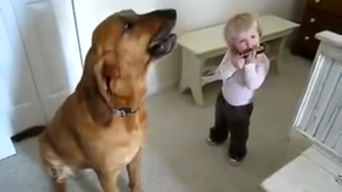 very funny To see baby with his dog