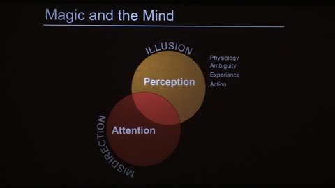 How to Understand the Illusion, Misinformation, and Deception in Our Daily Lives