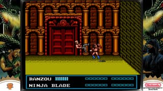 Double Dragon III (NES)