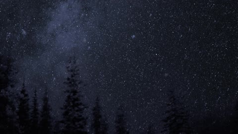 Sky at night with shiny stars. Milky way