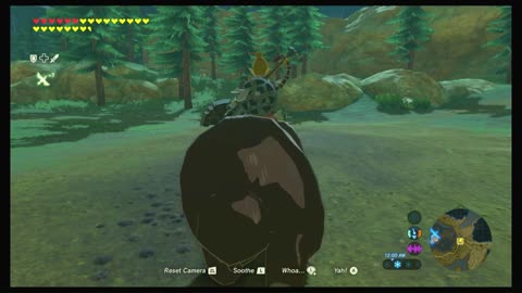 Zelda BOTW: Bear