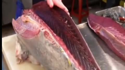 A Giant Tuna cutting amazing