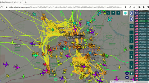 Bird Mafia Utah China War continues Jan 29th 2024 -