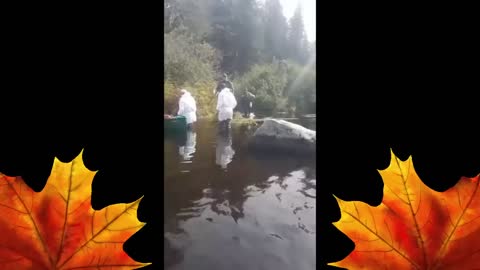 Environmental Agents in Hazmat Suits caught Poisoning Fish in New Brunswick River | Sept 8th 2022