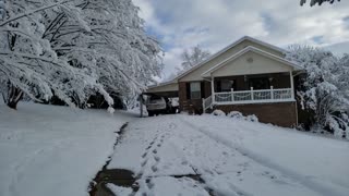 Roadie & Pookie Slo-mo in the Snow