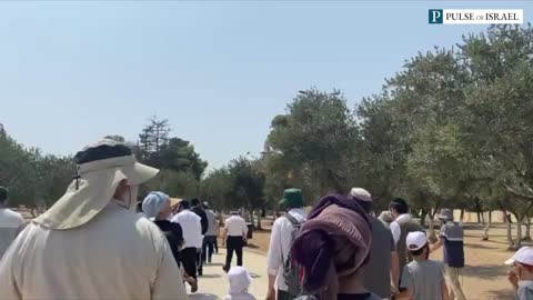 Jews Walking Around and Praying on the Temple Mount