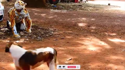 DON'T LAUGH CHALLENGE****DOG WITH FAKE TIGER PRANK..NO RUN SO FUNNY & CRAZY