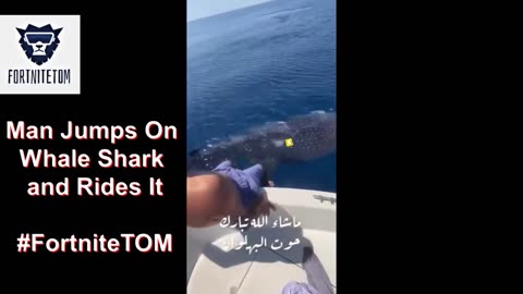 -Man Jumps On Whale Shark and Rides It.