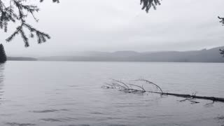 Foggy, Misty, Ethereal Timothy Lake – Mount Hood – Oregon – 4K