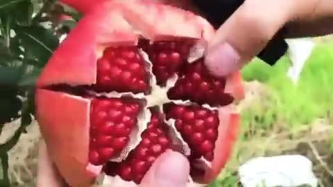 Amazing fruit cutting skills