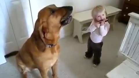 Amazing a Dog and a Child make music