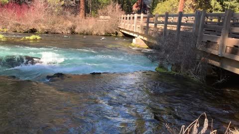 Exploring River Area Around Bridge – Metolius River – Central Oregon