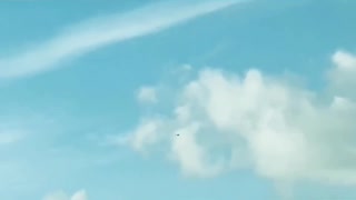 Weird Bird Flying in the Sky