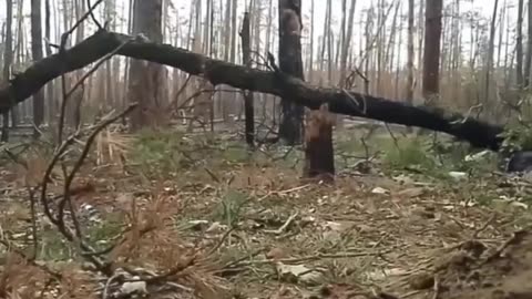 Russian Soldier Films the Moment Cluster Munitions Drop By