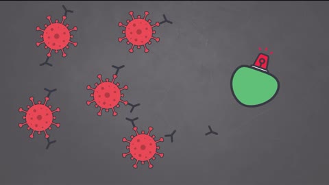 How MRNA Vaccines Work …