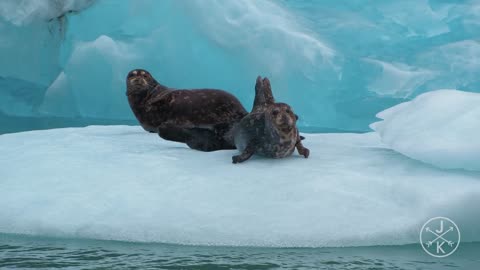 Alaska in 8K 60p HDR (Dolby Vision) 2023