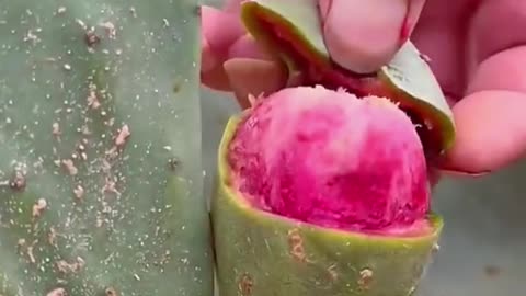 Cutting fruits satisfying video