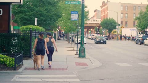 Women With A Dog Walking On The Crosswalk And Sidewalk