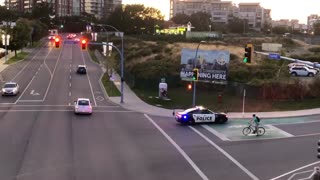 Cop Quacks at Crossing Geese