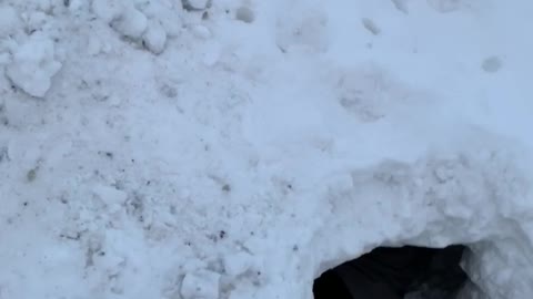 Couple Builds Igloo Outside Home