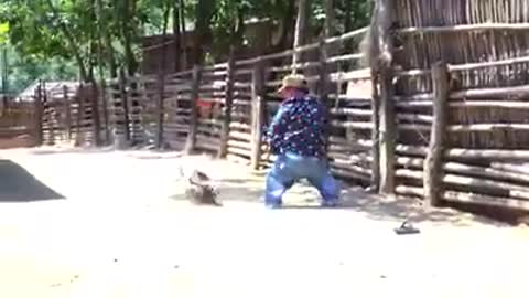 Pelea entres una gallina y un enano