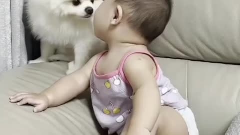 Cute baby want to kiss his beautiful dog..