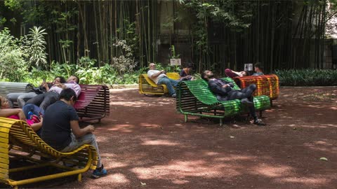 Los Nacimientos de Agua Bloqueados por el Grupo Illuminati Bosque de Chapultepec y Glastonbury Tor