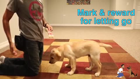 How To Teach Your Dog To FETCH Perfectly! (Dog Training Tutorial)