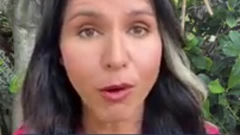 Democrat Tulsi Gabbard Representative, HI For Talking About US-Funded Biolabs in Ukraine