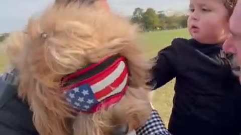 Dog’s Presidential Campaign #shorts #dogtravel #dog #goldendoodle