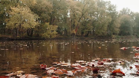 Beautiful Scenery of Placid and Quiet River