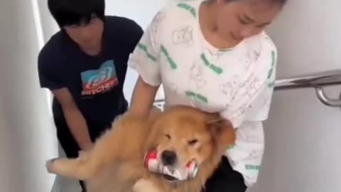 OMG ! HOW THIS DOG IS BEHAVING AFTER DRINKING THIS #dogs #puppies