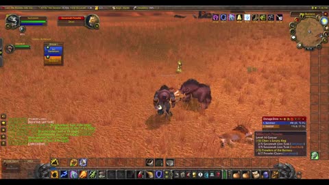 WoW Burning Crusade Shaman and Druid (wife) come together to farm