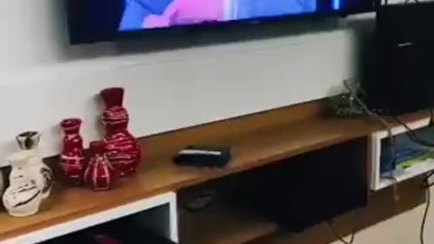 Eu avisei ontem, tirem as coisas de perto da TV ou da sala 😂 😂 😂