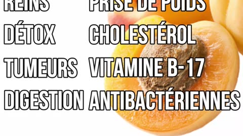 🍑 ACHETER de l’amandes amères d'abricot bio du laboratoire