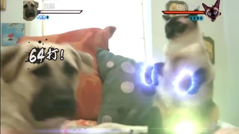 naruto ninja universe cats #5