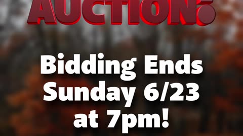 Auction Last Chance!