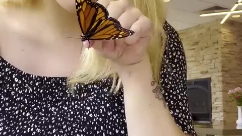 The Butterfly was stuck in her car