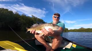 6 Shrimp, Six Backwater Redfish