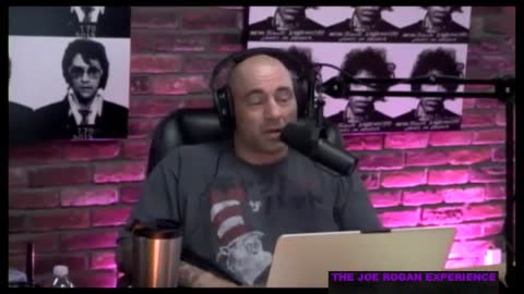 Joe Rogan Experience #487 - David Seaman