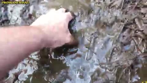 Washing Muddy Zoo Animals